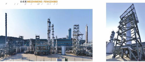 中國化工報聚焦四川美豐，一項關鍵工藝通過科技成果鑒定